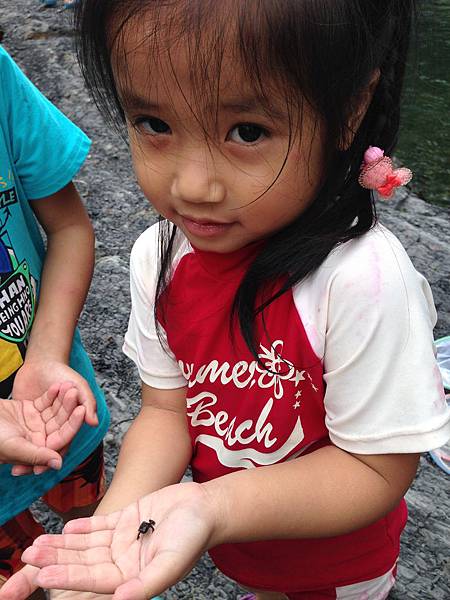 IMG_8529.JPG IMG_8529.JPG