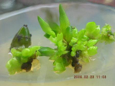 a TTC16.jpg a TTC16.jpg