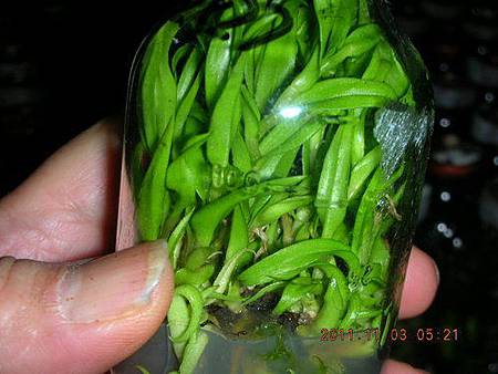 a TTC20.jpg a TTC20.jpg