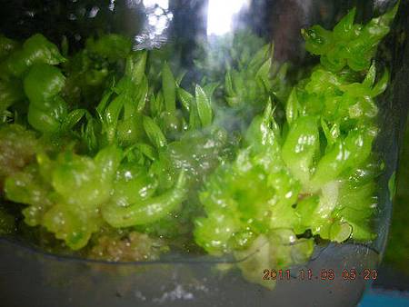 a TTC22.jpg a TTC22.jpg