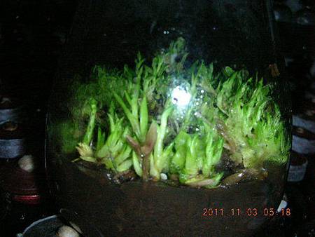 a TTC25.jpg a TTC25.jpg