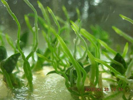 a TTC27.jpg a TTC27.jpg