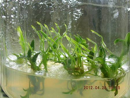 a TTC28.jpg a TTC28.jpg