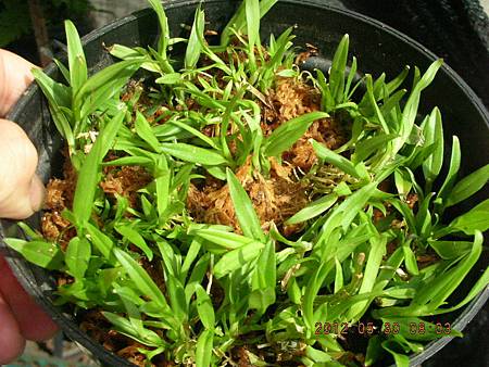 DSCN5232.JPG DSCN5232.JPG