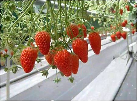 圖片97.jpg 圖片97.jpg