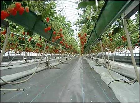 圖片95.jpg 圖片95.jpg