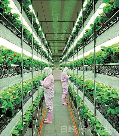 圖片112.jpg 圖片112.jpg