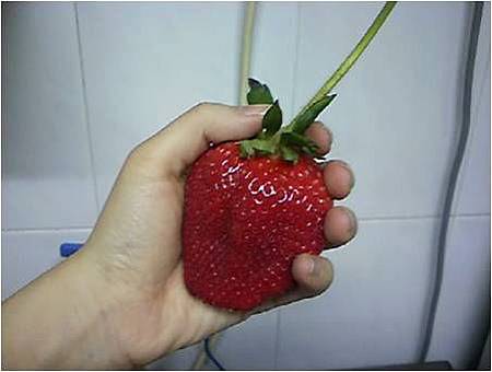 圖片115.jpg 圖片115.jpg