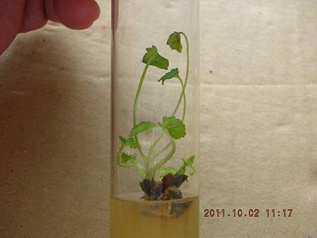 DSCN9980.JPG DSCN9980.JPG