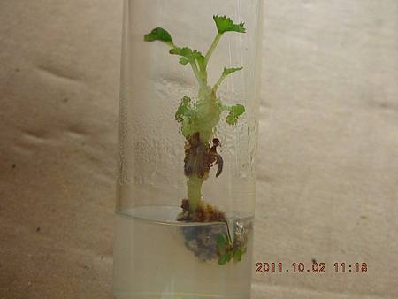 DSCN9983.JPG DSCN9983.JPG