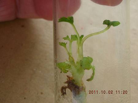 DSCN9986.JPG DSCN9986.JPG