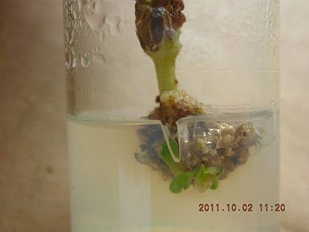 DSCN9987.JPG DSCN9987.JPG