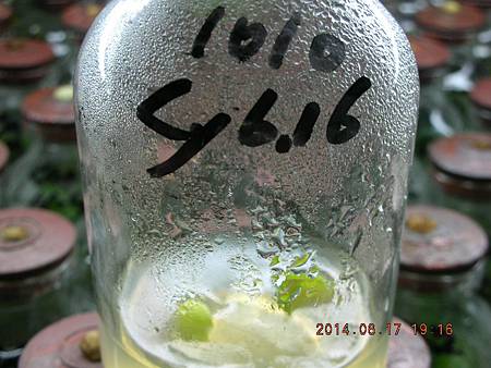 DSCN2012.JPG DSCN2012.JPG