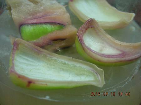 DSCN4677.JPG DSCN4677.JPG