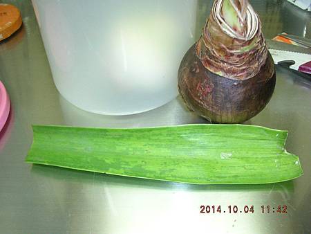 DSCN5098.JPG DSCN5098.JPG