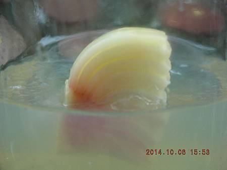 DSCN5131.JPG DSCN5131.JPG