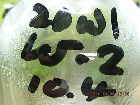 DSCN5137.JPG DSCN5137.JPG