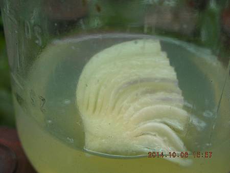 DSCN5141.JPG DSCN5141.JPG