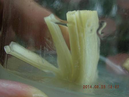 DSCN4070.JPG DSCN4070.JPG