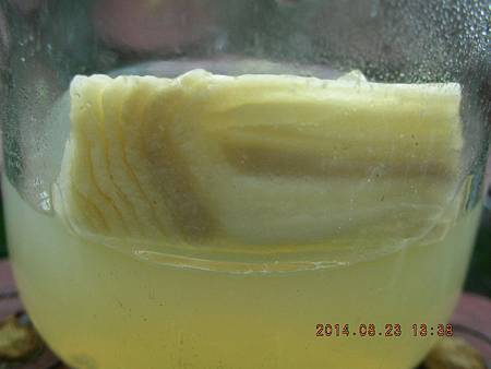 DSCN4072.JPG DSCN4072.JPG