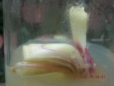 DSCN4310.JPG DSCN4310.JPG