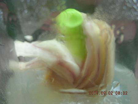 DSCN4311.JPG DSCN4311.JPG