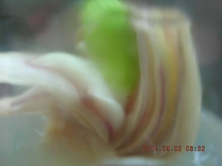 DSCN4312.JPG DSCN4312.JPG