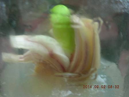 DSCN4313.JPG DSCN4313.JPG