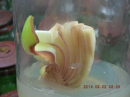 DSCN4315.JPG DSCN4315.JPG