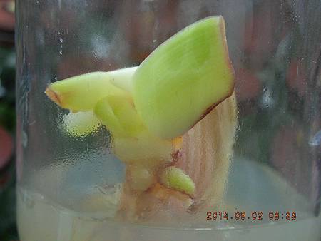 DSCN4316.JPG DSCN4316.JPG