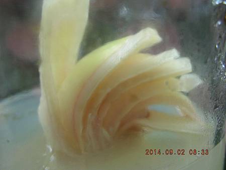 DSCN4317.JPG DSCN4317.JPG