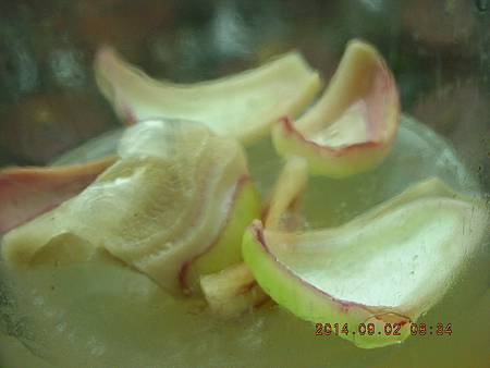 DSCN4319.JPG DSCN4319.JPG