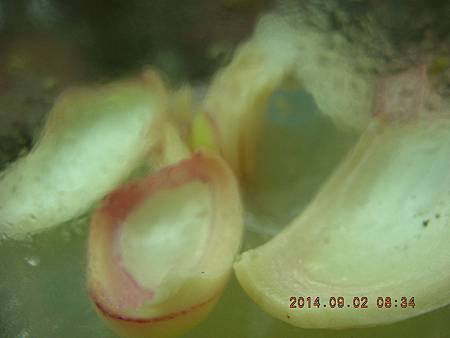 DSCN4320.JPG DSCN4320.JPG