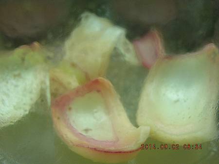 DSCN4321.JPG DSCN4321.JPG