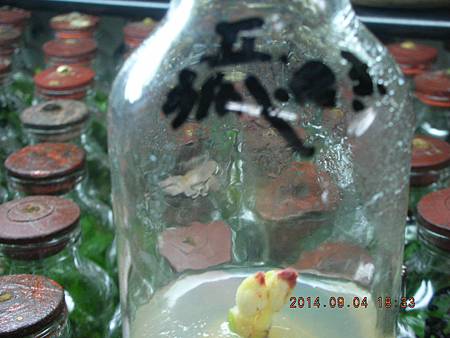 DSCN4366.JPG DSCN4366.JPG