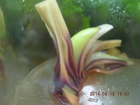 DSCN4669.JPG DSCN4669.JPG