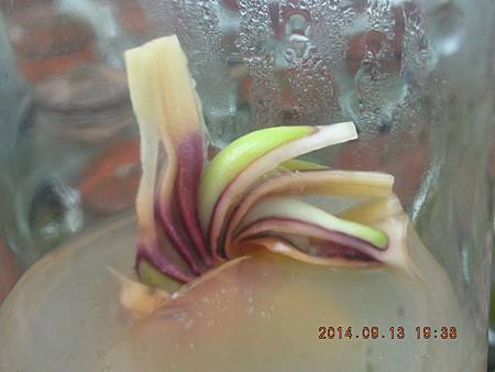 DSCN4672.JPG DSCN4672.JPG