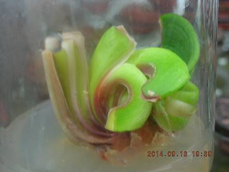 DSCN4674.JPG DSCN4674.JPG