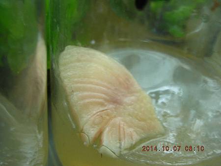 DSCN5167.JPG DSCN5167.JPG