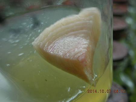 DSCN5172.JPG DSCN5172.JPG