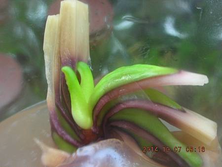 DSCN5174.JPG DSCN5174.JPG