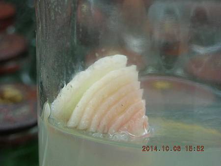 DSCN5130.JPG DSCN5130.JPG