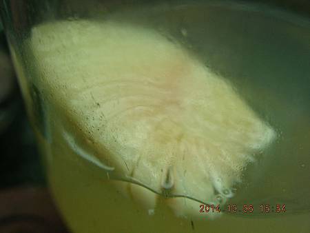 DSCN5133.JPG DSCN5133.JPG