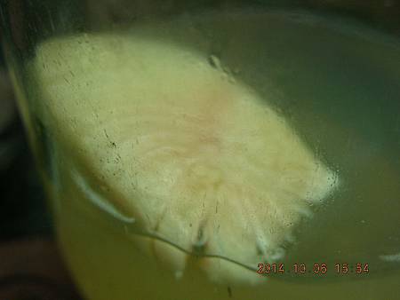 DSCN5134.JPG DSCN5134.JPG