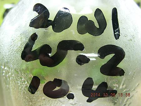 DSCN5137.JPG DSCN5137.JPG