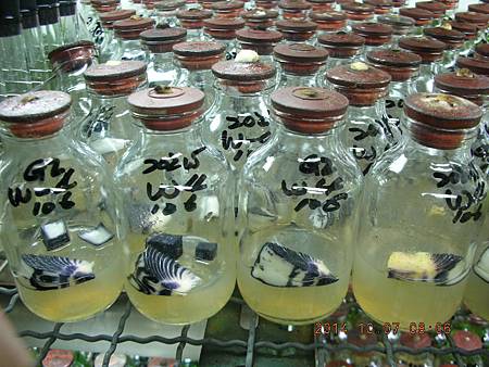 DSCN5154.JPG DSCN5154.JPG