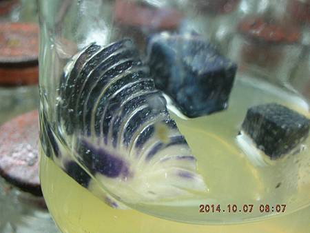 DSCN5157.JPG DSCN5157.JPG