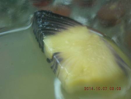 DSCN5160.JPG DSCN5160.JPG