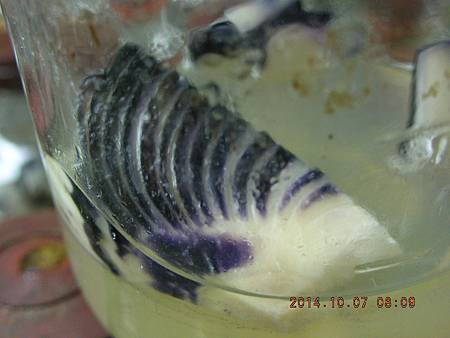 DSCN5162.JPG DSCN5162.JPG