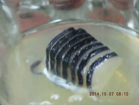 DSCN5164.JPG DSCN5164.JPG